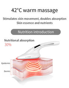 USB <span class=keywords><strong>Meilleur</strong></span> usage domestique Machine de soins de la peau <span class=keywords><strong>Anti</strong></span>-rides raffermissant corps et visage masseur <span class=keywords><strong>Anti</strong></span>-rides façonnage équipement <span class=keywords><strong>appareil</strong></span> de beauté - Product Image 3