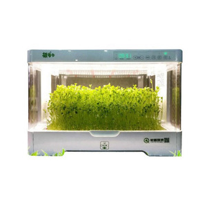 Sistema de Cultivo Hidropónico Inteligente con LED para Interiores, para Lechuga - Product Image 5