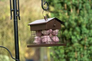 Jh-mech açık kuş besleyici ağır drenaj deliği eğimli çatı formu kolay kaldırmak duvara monte açık kuş kafesi asılı besleyici - Product Image 3