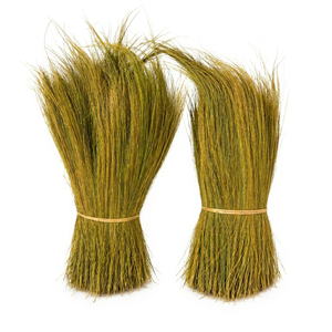 Escoba de Hierba Natural con Fibra Vegetal, Ecológica, Duradera, para Uso en Exteriores, Estilo Básico, Material Crudo de Indonesia - Product Image 1