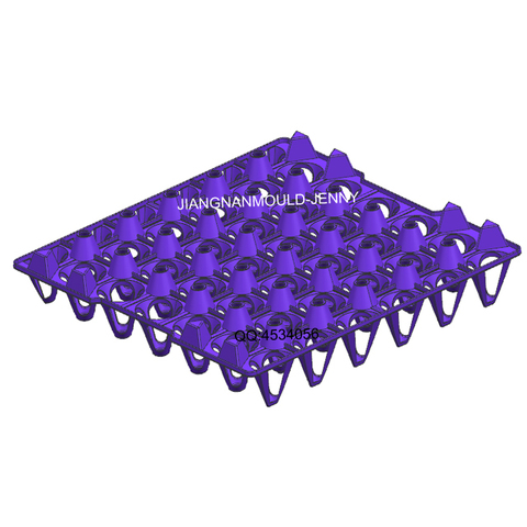 Plastic Egg Tray Mould Plastic Injection  Crate Mould From  36 Years Experience Mold Factory  in Taizhou China