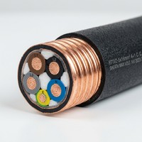 Kabel Daya Lantian Tahan Api RTTVZ 4+1 Inti Berisolasi Mineral dengan Selubung Tembaga dan Selubung Luar PVC 0.6/1kV untuk Bangunan