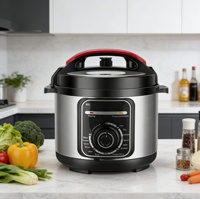 Autocuiseur Électrique Intelligent Portable 5L/6L de Haute Qualité, Écologique, avec Revêtement Antiadhésif en Acier Inoxydable, Idéal pour Hôtels