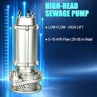 Pompe à eaux usées submersible WQ(D)X-S 304 en acier inoxydable moulé de précision, basse pression, OEM, haute pression, avec sortie filetée BSP