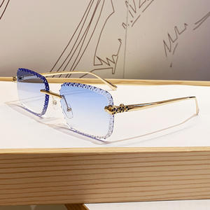 Nuovi Occhiali da Sole Quadrati Leopardati Full Frame UV400 alla Moda per Donna - Ideali per Guida e Sport all'Aperto, Tendenza 2026 - Product Image 5