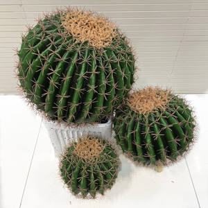 Plantes succulentes artificielles en plastique écologiques de haute qualité pour décoration extérieure, <span class=keywords><strong>boule</strong></span> de bonsaï <span class=keywords><strong>cactus</strong></span>, 50 cm, <span class=keywords><strong>prix</strong></span> d'usine pour anniversaire - Product Image 3