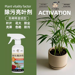 น้ำยาทำความสะอาดใบไม้สูตรเข้มข้น 300 มล. ไม่ต้องเจือจาง สำหรับพืชในร่ม - Product Image 3