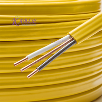 Câble électrique de construction en cuivre isolé PVC toronné NM-B 10/2 12/2 14/2 pour les États-Unis/Canada, tension nominale 600V