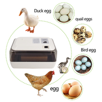 Nuevo Modelo 2026 de Incubadoras de Huevos con Volteo Automático y una Alta Tasa de Incubación del 98% para Uso Agrícola