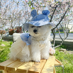 Pet <b>clothes</b>, dog and <b>cat</b> outfits, small dog outfits, stylish, casual, fashionable, romantic, cute plaid sun hats - Product Image 3