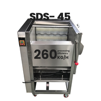 Automatische elektrische commerciële mini-aardappel schilmachine en wasmachine