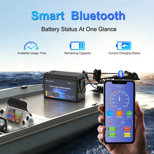 出厂价 12.8V 100Ah 120Ah 200Ah 314Ah 460Ah 628Ah LiFePo4 锂离子电池组，适用于太阳能系统/房车/拖钓电机 - Product Image 4