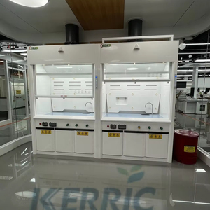 Campana de humos de PP para laboratorio resistente a productos químicos, precio del equipo de humos de laboratorio - Product Image 2