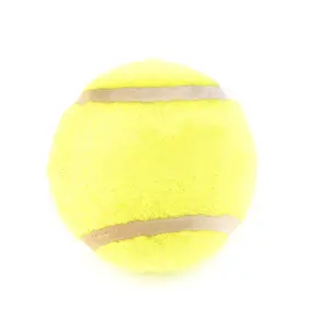 2.5 "Aangepaste Logo Tennisbal Hond Speelgoed Piepende Tennis Ballen Voor Honden