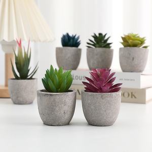 <span class=keywords><strong>Irun</strong></span> Mini pequeño bonsái árbol pulpa carnosa planta verde simulación decoración del hogar Material de decoración de escritorio - Product Image 4