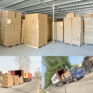 Niedriger Preis wild verwendet dekorative getrocknete Blumen Großhandel uk Mini echte winzige natürliche Knopf blume getrocknete Blumen für die Dekoration - Product Image 4