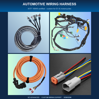 Kabel Harness Tembaga Inti 2.0mm Custom Jst Xh Zh Vh Ip66 Pitch 5pin 6pin 20pin Adaptor Betina Perakitan Kabel Jst Elektronik