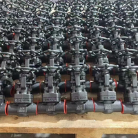 Katup Gerbang Baja Tempa API 602 Kelas 1500 A105N 3/4 Inci Berulir NPT Manual Katup Gerbang Industri Tekanan Tinggi
