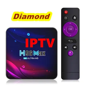 2024 IPTV Android tv box untuk Rumania Polandia Amerika Serikat Inggris Spanyol Belanda TV Panel tidak ada aplikasi termasuk