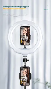 Cross Border popolare 10 pollici luce ad anello <span class=keywords><strong>a</strong></span> LED con supporto per l'illuminazione <span class=keywords><strong>e</strong></span> la fotografia di host in Live Streaming - Product Image 5