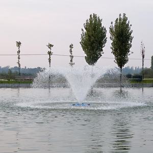 호수 플로팅 워터 분수 색상 사용자 정의 스테인레스 스틸 플로팅 노즐 분수 - Product Image 3