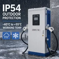 Station de recharge rapide DC intégrée CE ISO9001 pour véhicules électriques 60-240kW Double connecteur OCPP 1.6J IP54 OEM ODM Usine certifiée State Grid