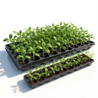 Plateau de semis Microgreens en plastique à 50 cellules avec petits trous pour un bon drainage Plateaux et couvercles de pépinière adaptés à la culture hydroponique
