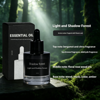 Huile de rechargement pour diffuseur à bâtonnets, parfum d'ambiance longue durée pour chambre et décoration intérieure – Stock disponible