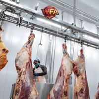 Équipement complet d'abattage de bovins, machines de transformation de la viande, système d'abattoir professionnel