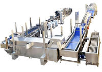 Volledig automatische elektrische verwarmingslijn voor continue productie van frieten, 1000 kg/uur, met mixer en friteuse, roestvrij staal, fabrieks prijs