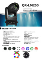 250W LED 3-in-1 BSW Moving Head Light in Mini-Größe – Beam, Spot, Wash mit DMX512-Steuerung & Prisma für Bankett-, Hochzeits-, Party- und Club-Events
