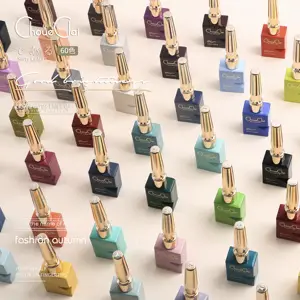 DUDU MISS 60 Farben 1 Farbe 1 Flasche Nageldesigns mit Gelpolitur erstellen Sie Ihr eigenes Marken-Nagellack-Gelset