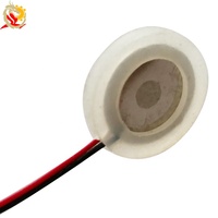 Disco Atomizador Piezoeléctrico Microporoso de Cerámica de 10 mm y 12 V, Elemento Atomizador Ultrasónico
