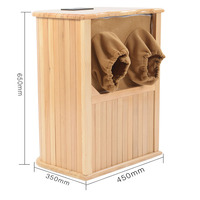 Sauna infrarouge lointain électrique moderne Chorus pour détoxification et beauté, avec panneau de commande informatique, bain de pieds à température constante, modèle canadien