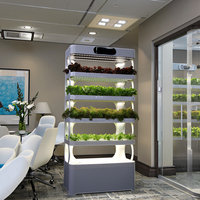 Système de jardinage hydroponique vertical pour la ferme à la maison comprend une lumière de pompe pour une plantation et un arrosage efficaces, neufs et d'occasion