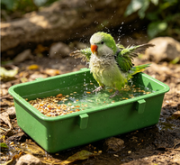 Bac de bain carré pour perruches, mangeoire, boîte à nourriture verte, accessoires pour oiseaux, bol à nourriture, mangeoire, accessoire de cage à oiseaux, baignoire