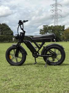 ENTREPÔT OUTRE-MER OEM/ODM Vélo électrique tout-terrain à pneus larges de 20 pouces (modèle G60) - En stock aux États-Unis Batterie amovible 48V 15Ah 1500W - Product Image 2