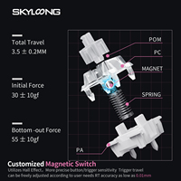 SKYLOONG GK75 HE Gateron JADE Pro & TTC King interrupteur magnétique RGB 8K USB clavier mécanique de jeu RT0.01 clavier PBT