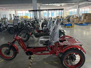 Triciclo Eléctrico Abierto de 3 Ruedas, 2500w, Motor Dual, 48V, 152AH, 7 Velocidades, con Batería de Iones de Litio para Largo Alcance de 500km, Disponible en la UE en 2026 - Product Image 4
