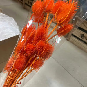 Tiges de chardon (Eryngium) séchées et préservées, fleurs séchées faites à la main, longue durée (3-5 ans), pour la fête des mères, la remise des diplômes, le Nouvel An - Product Image 1