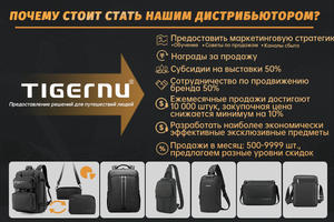 Sac à dos simple <span class=keywords><strong>Tigernu</strong></span> T-B3399 imperméable antivol, sac à dos pour ordinateur portable pour homme avec port de charge USB - Product Image 2