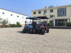 Voiture de golf electricak 2024 voiturette de golf rue buggy adulte légal - Product Image 3