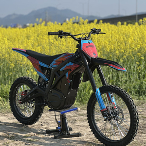 Motocicleta Todoterreno BSE EZ-1 con Motor sin Escobillas de 5.5KW, Batería de Litio Ternaria de 60V36Ah, 75KM/H, Bicicleta Eléctrica Todoterreno Económica para Adultos - Product Image 1