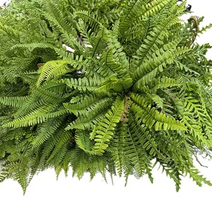 Planta Artificial de Cola de Pez Persa, Adorno Realista para Jardín, Decoración para el Hogar, Oficina, Jardín, Helecho Artificial, Flores Artificiales - Product Image 5