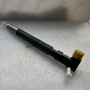 디젤 엔진 부품 고품질 디젤 커먼 레일 인젝터 33800-4A710 28229873 EMBR00101D HRD359 R00101D 33800-4A700 - Product Image 2