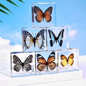 فراشة حقيقية مغلفة بعينات بيولوجية محفوظة من راتنج الكريستال لديكور المنزل وعيد الميلاد للعام الجديد - Product Image 5