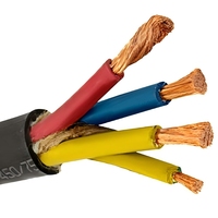 Kabel Daya Fleksibel Tembaga PVC YUWAN TVR-YC-3*10+2*6 (500V/300V) yang Dapat Disesuaikan untuk Penggunaan Industri & Rumah Tangga