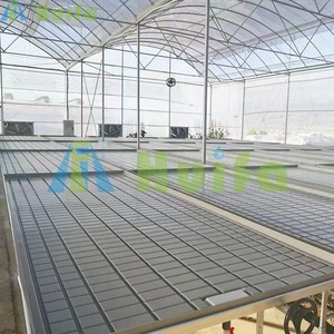 HUIFA Rolling Benches Flow Tables <strong>Flood</strong> Grow Ebb and Drain Table <strong>Trays</strong> <strong>4x8</strong> Rolling Table - Product Image 4