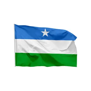 Hochwertiger Großhandel 90x150cm Polyester Double 3x5 Ft genäht All Country Puntland Flag