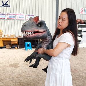 Haichuan tùy chỉnh thực hiện đầy đủ cơ thể thực tế khủng long cánh tay con rối mô phỏng cao animatronic bé khủng long con rối nhấp nháy với âm thanh - Product Image 5
